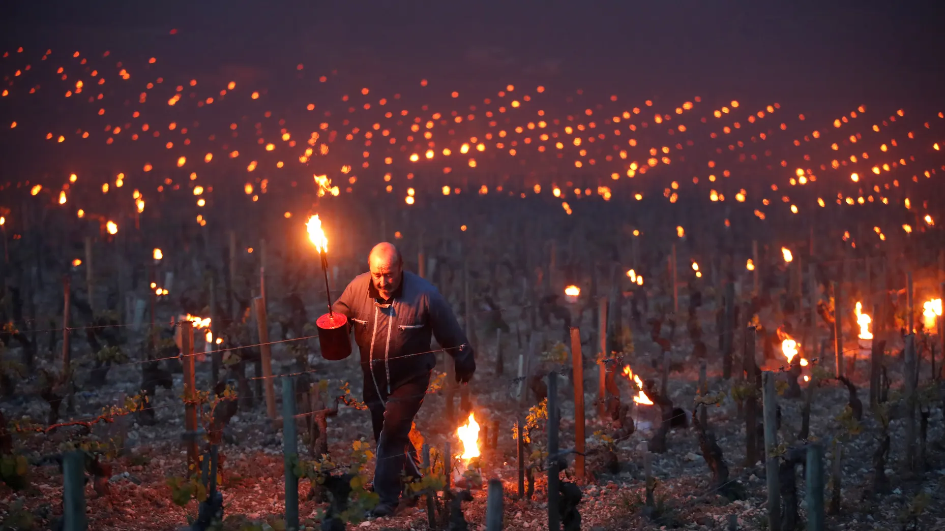 Naturvin till Valborg - här är våra bästa tips från listan